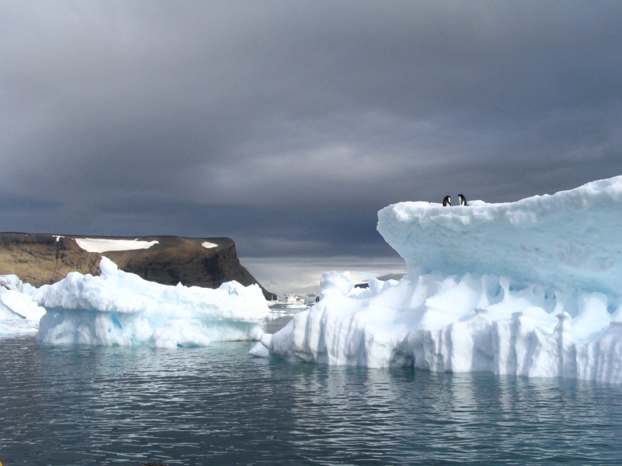 Антарктида - Фото №23