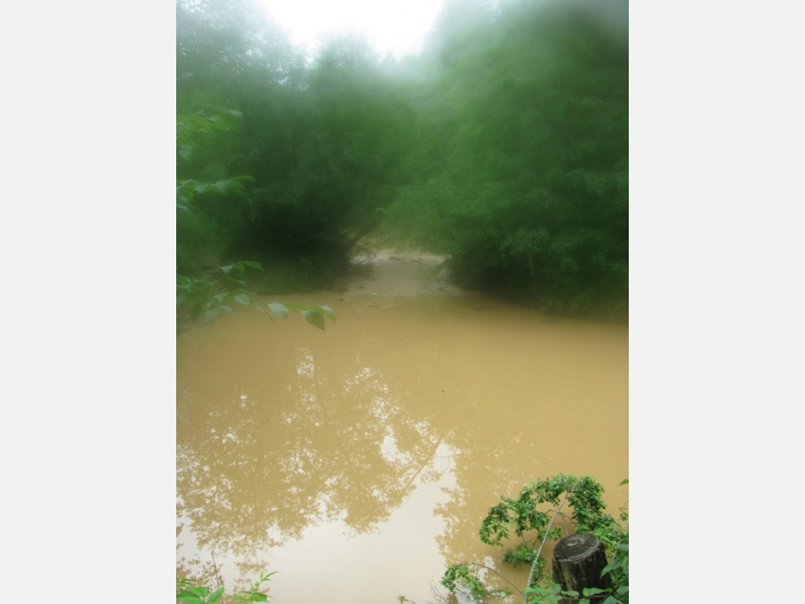 Чусовая река - Фото №28
