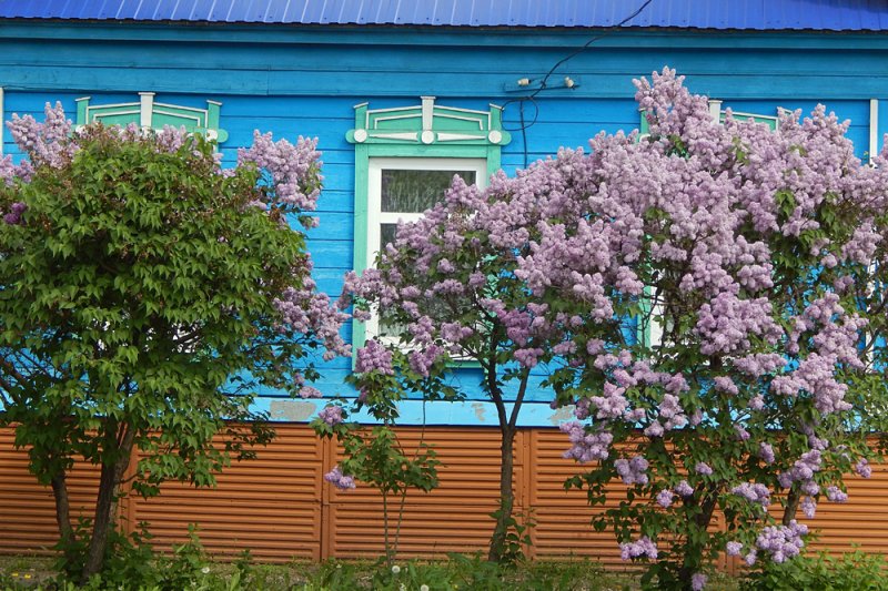 Хвалынск - Фото №10