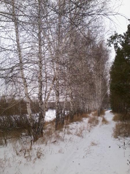 Краснозёрск. Россия - Краснозёрск. Фото №1