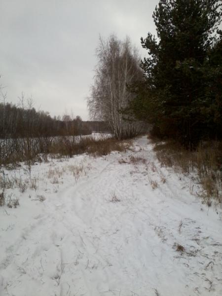 Краснозёрск. Россия - Краснозёрск. Фото №2