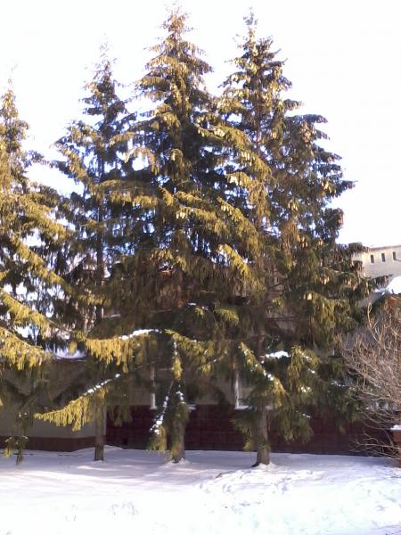 Краснозёрск. Россия - Краснозёрск. Фото №14