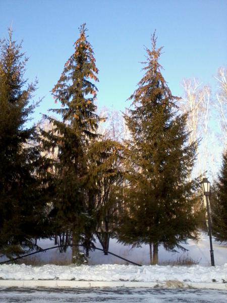 Краснозёрск. Россия - Краснозёрск. Фото №16
