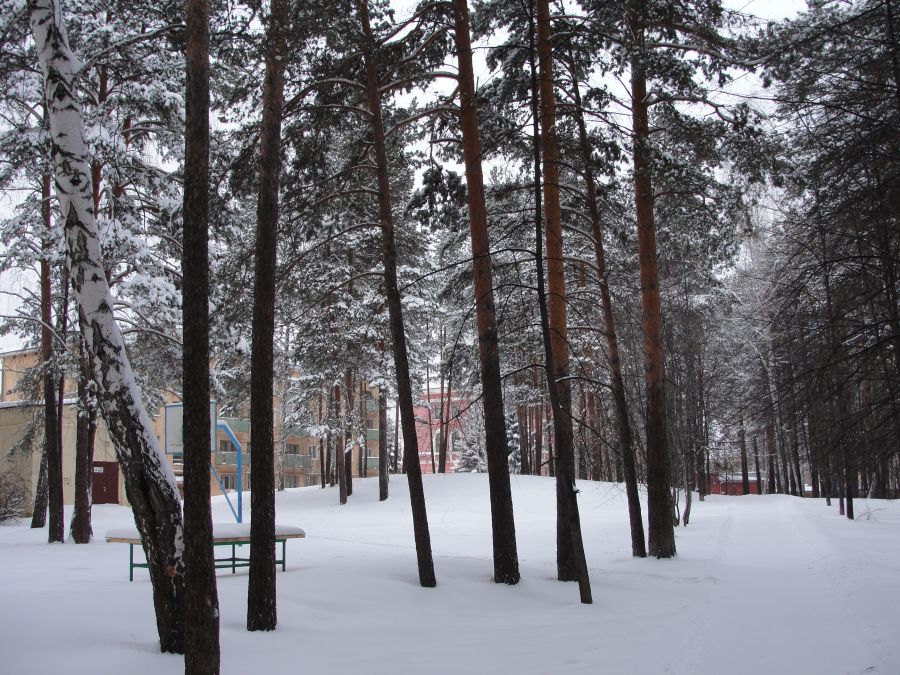 Снежинск - Фото №33