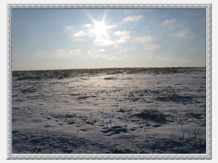 Тула. Россия - Тула. Фото №2